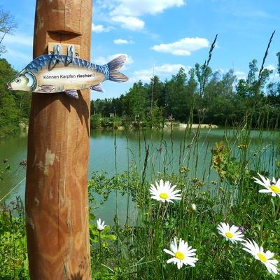 Bild vergr��ern: Erlebnispark Wasser-Fisch-Natur