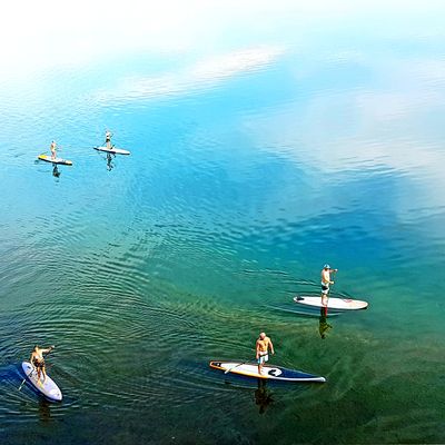 Stand Up Paddling 