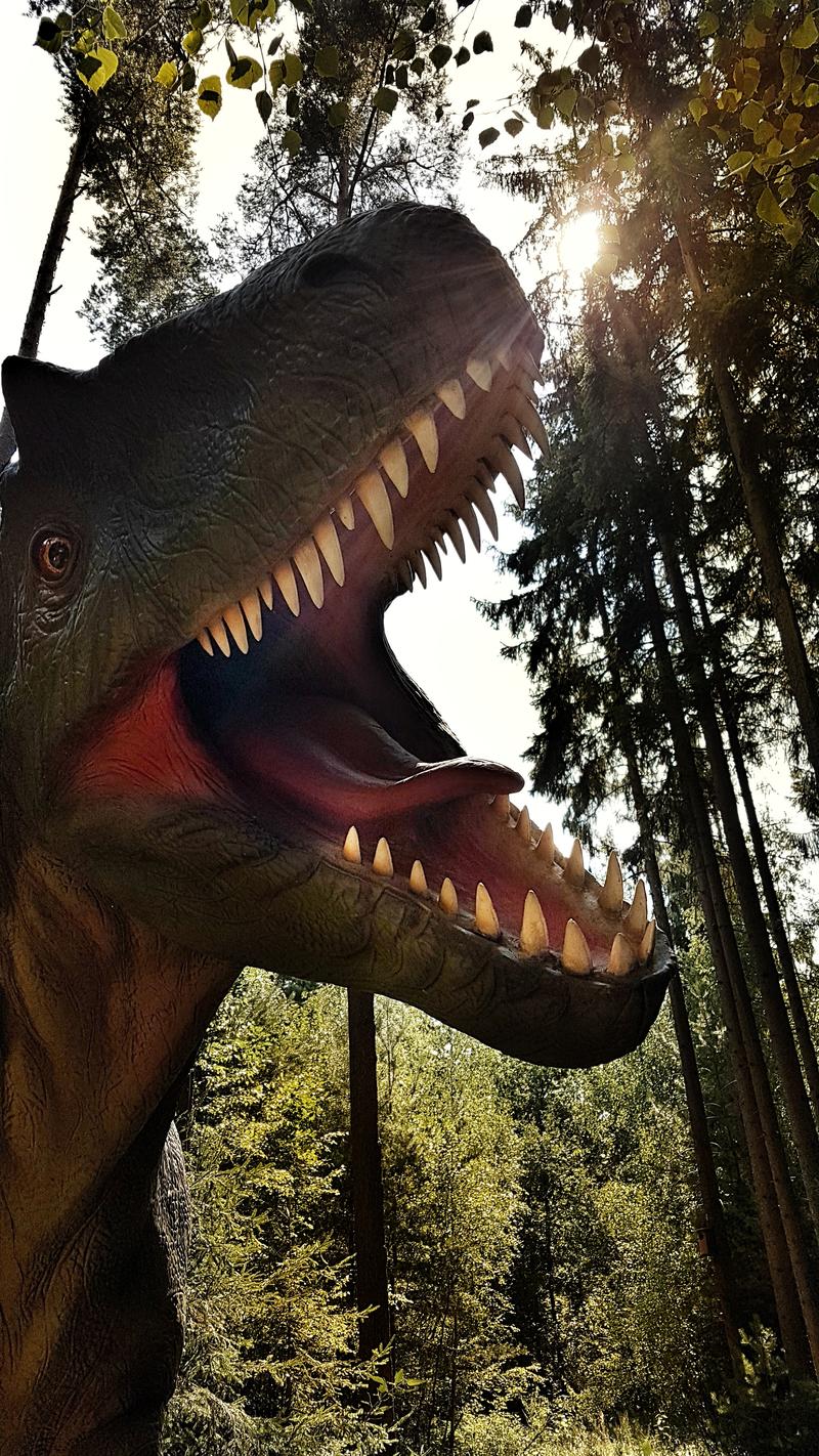Dinosauriermuseum