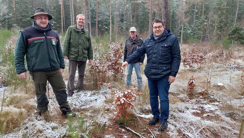 Robust und vielf&auml;ltig: Wackersdorfs Wald der Zukunft