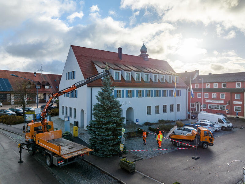 Weihnachtsbaum 2023 04