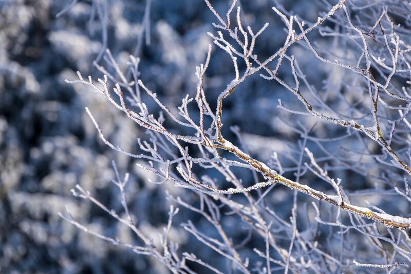 Winterwanderung