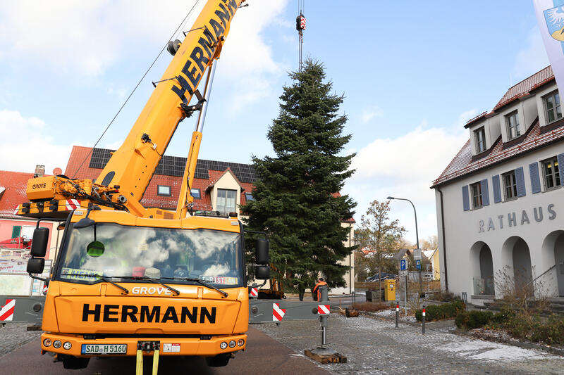 Christbaum 2024 (8)